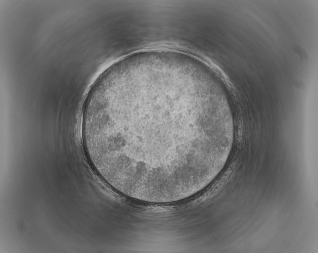 X0000112421224200909251509