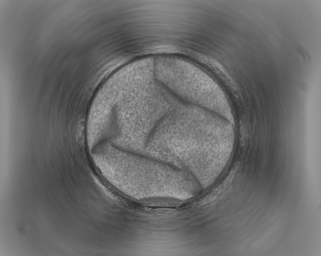 X0000112421225200909251509