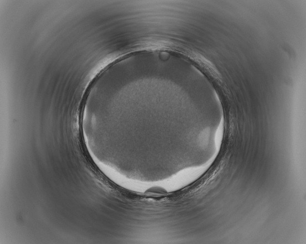 X0000112421226200909251509