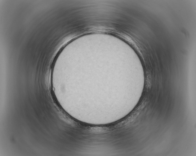 X0000112421227200909251509