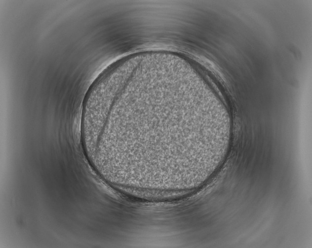 X0000112421228200909251509