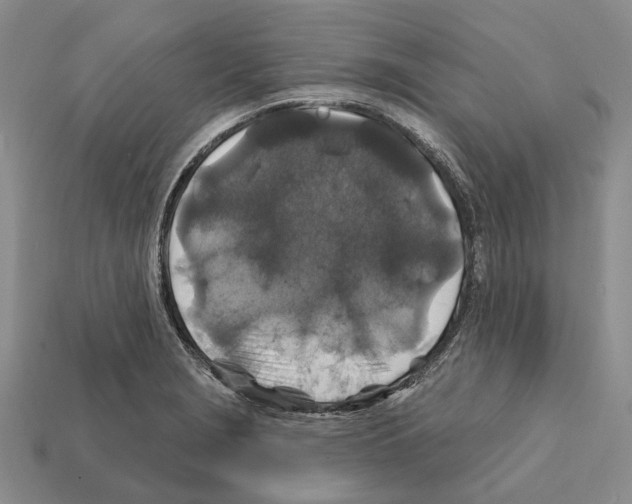 X0000112421229200909251509