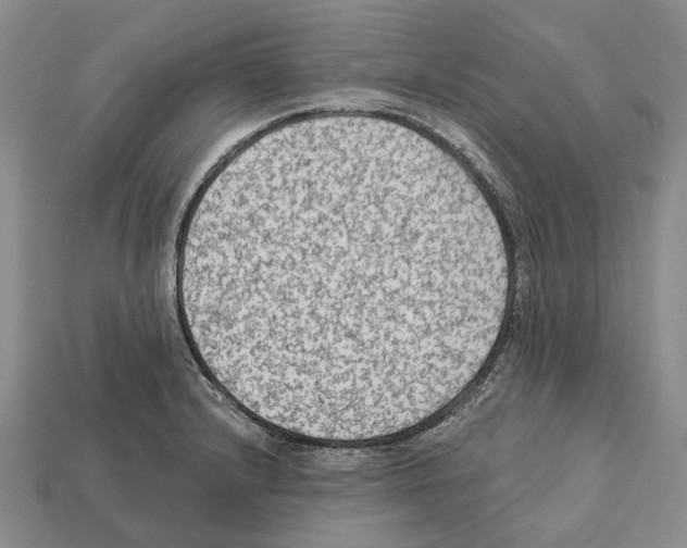 X0000112421232200909251509