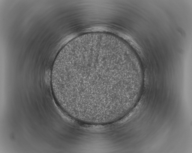 X0000112421233200909251509