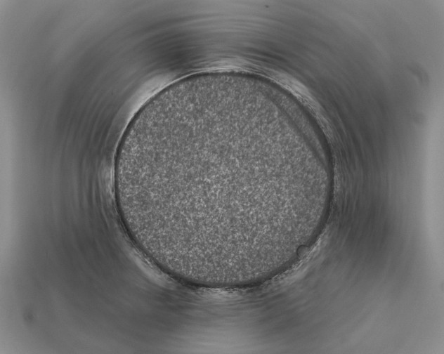 X0000112421234200909251509