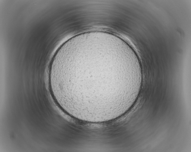 X0000112421235200909251509