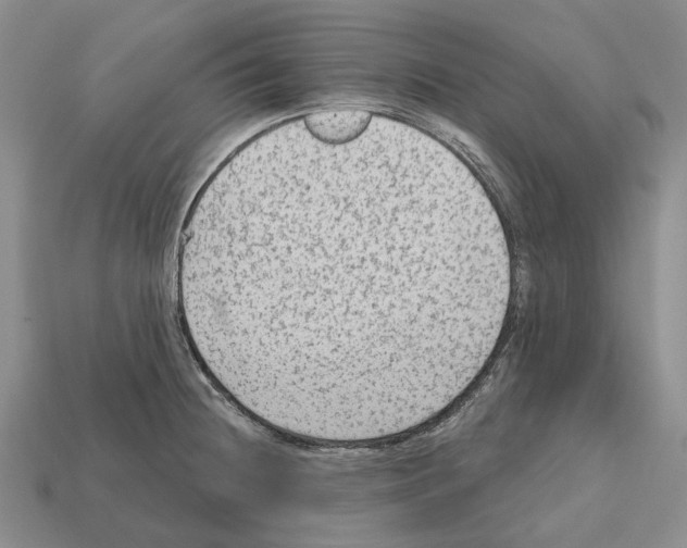 X0000112421236200909251509