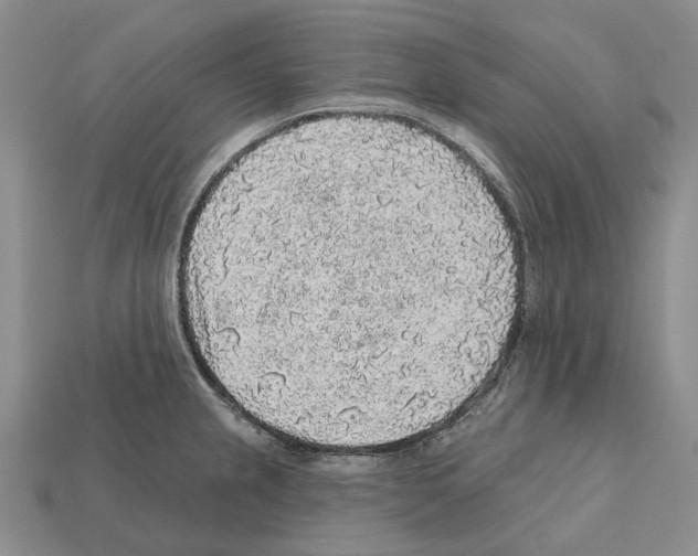 X0000112421237200909251509