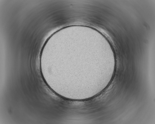 X0000112421238200909251509