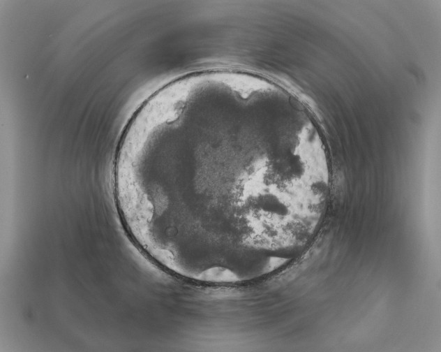 X0000112421239200909251509