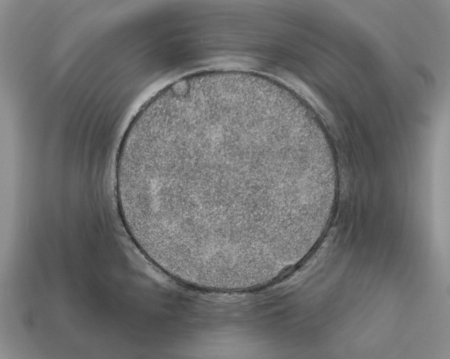 X0000112421240200909251509