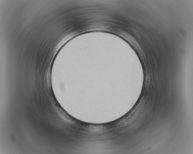 X0000112421242200909251509