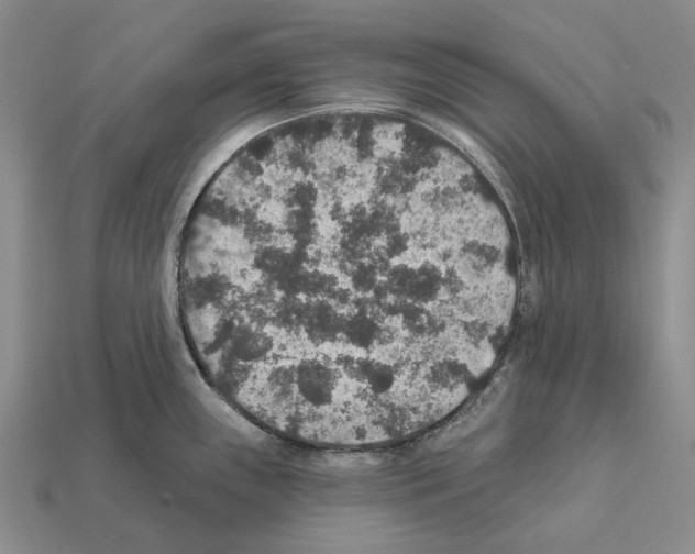 X0000112421243200909251509