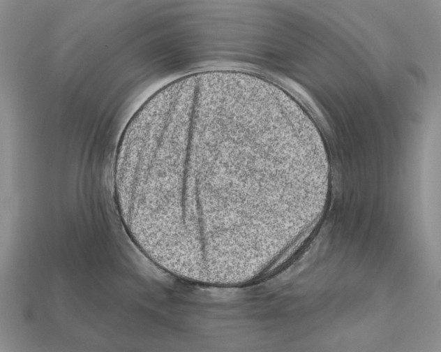 X0000112421244200909251509