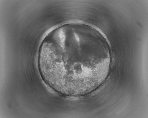 X0000112421245200909251509