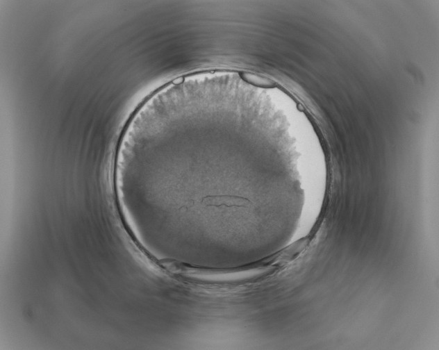 X0000112421246200909251509