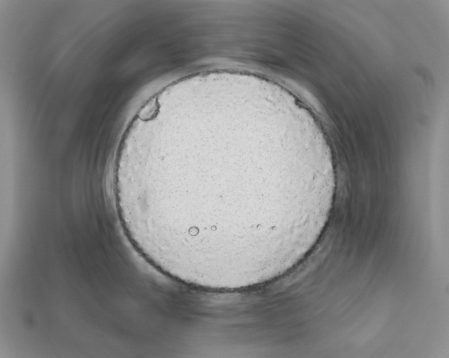 X0000112421247200909251509