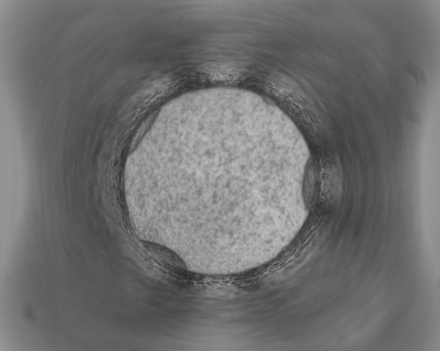 X0000112421249200909251509