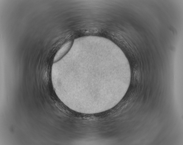 X0000112421250200909251509