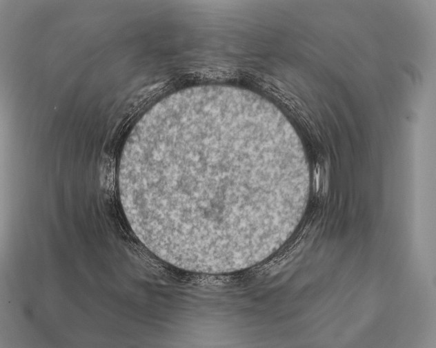 X0000112421251200909251509