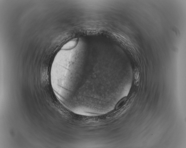 X0000112421252200909251509