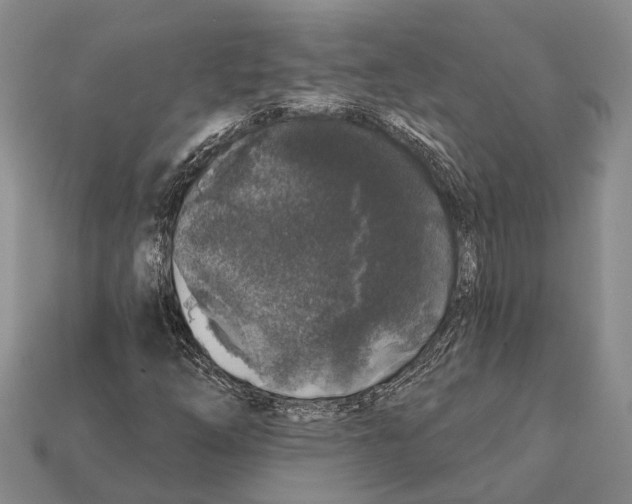 X0000112421254200909251509