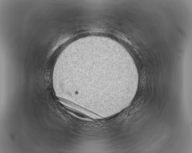 X0000112421255200909251509