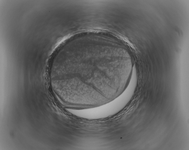 X0000112421256200909251509