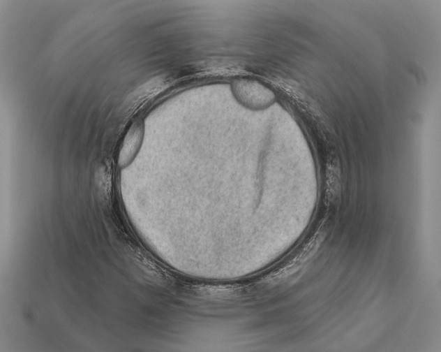 X0000112421257200909251509