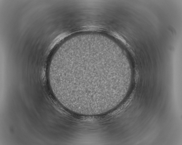 X0000112421259200909251509