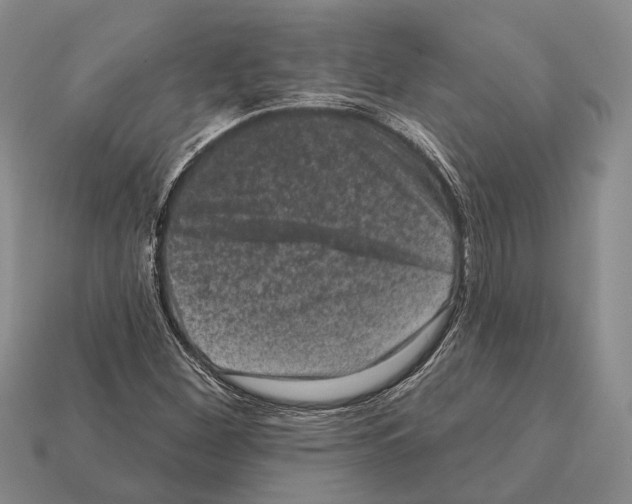 X0000112421260200909251509