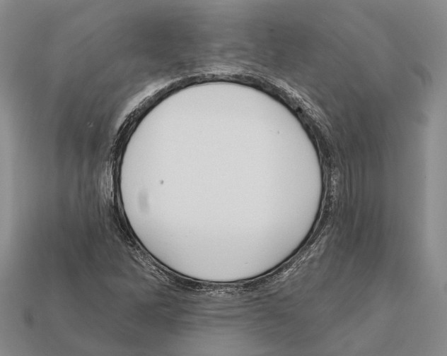 X0000112421262200909251509