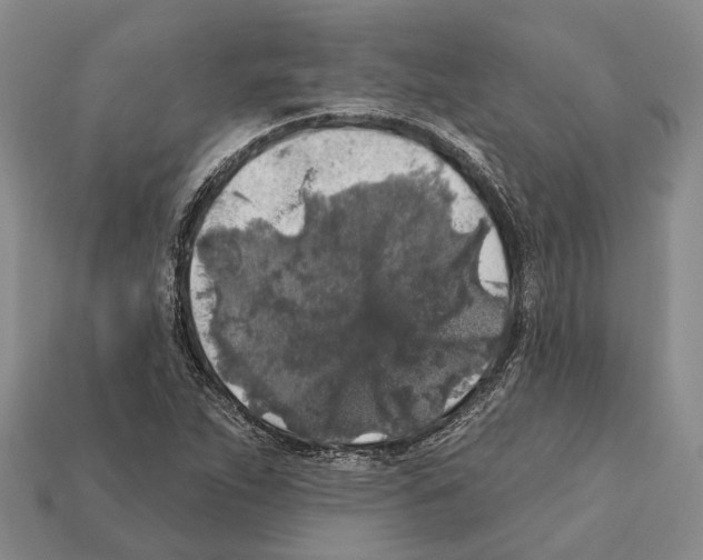 X0000112421263200909251509