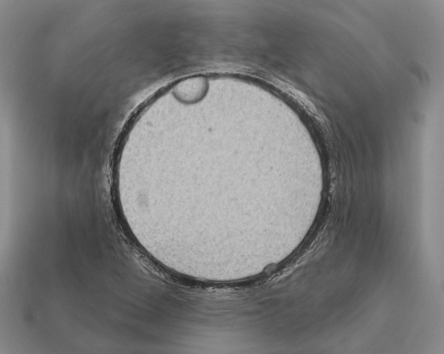 X0000112421264200909251509