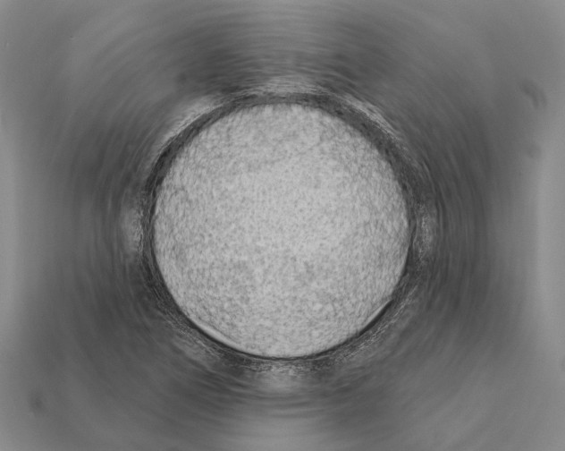 X0000112421266200909251509