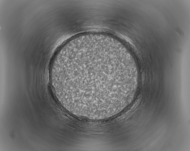 X0000112421267200909251509