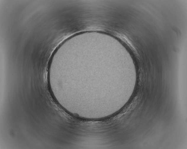 X0000112421268200909251509