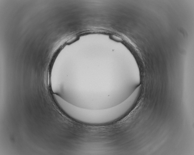 X0000112421269200909251509