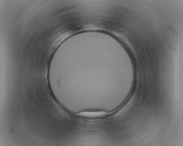 X0000112421273200909251509