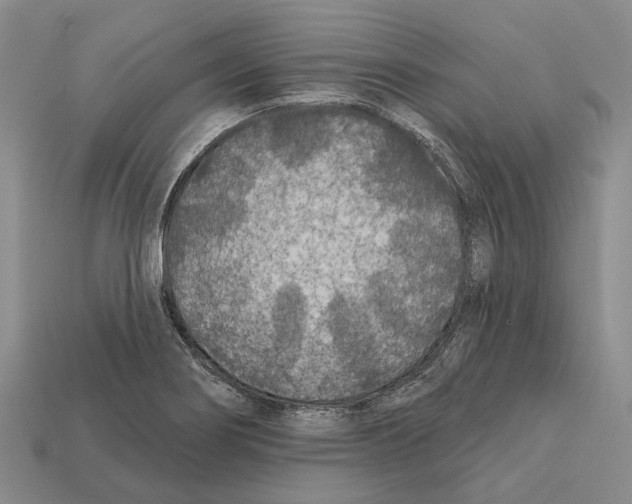 X0000112421274200909251509