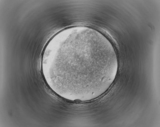 X0000112421276200909251509