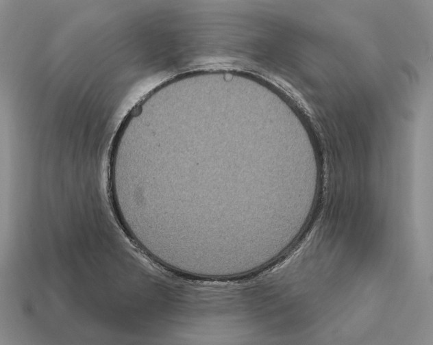 X0000112421277200909251508