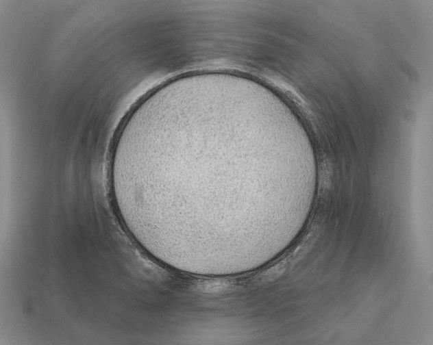 X0000112421278200909251508