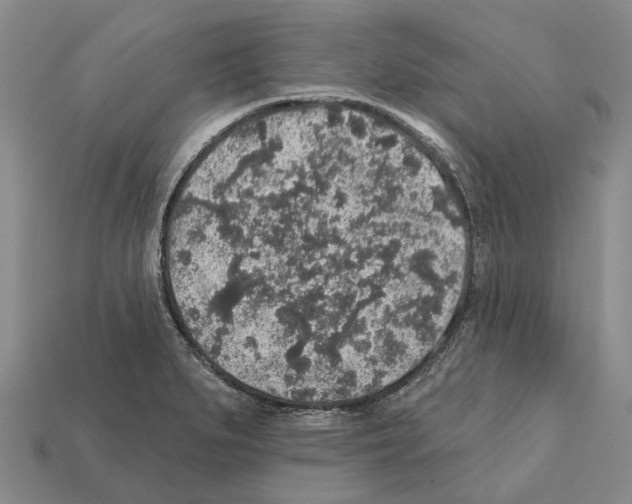 X0000112421279200909251508