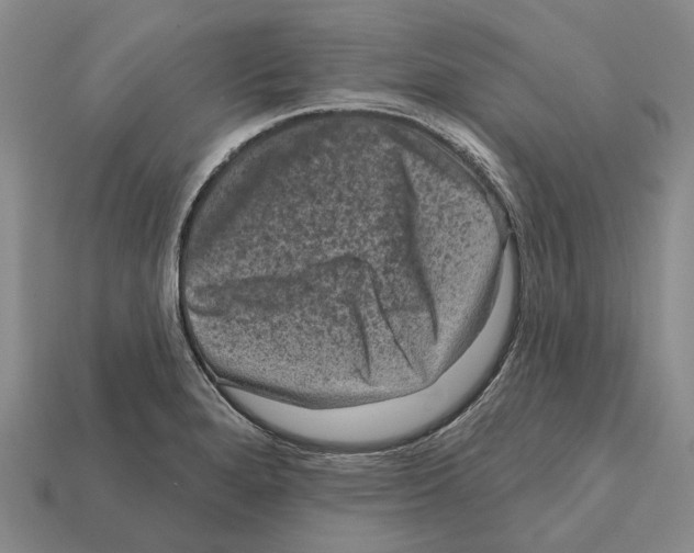 X0000112421280200909251508