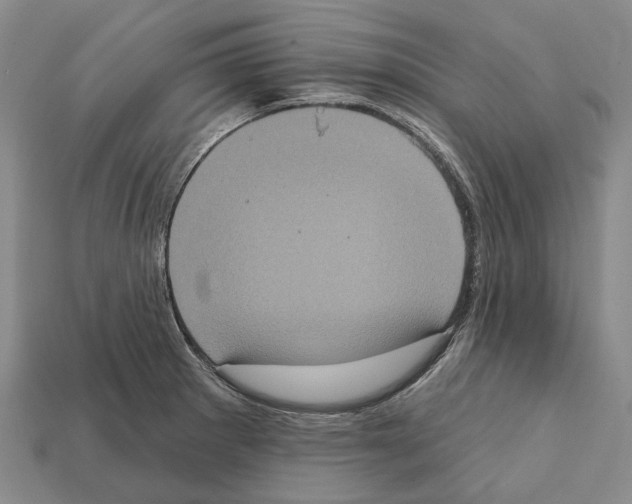 X0000112421281200909251508