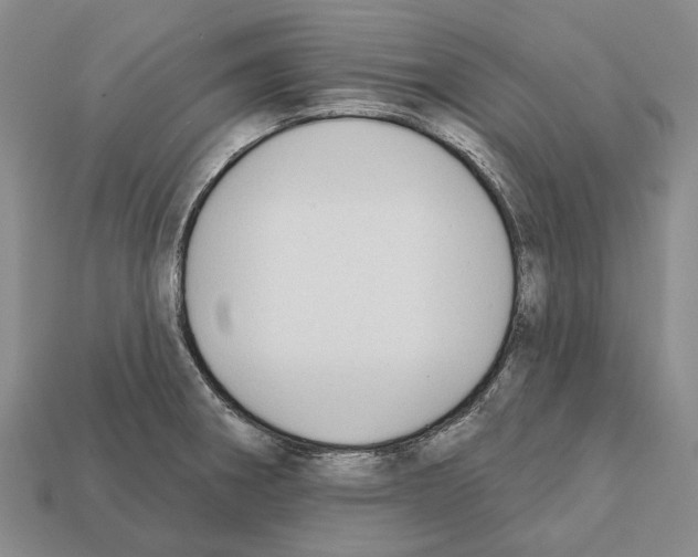 X0000112421282200909251508