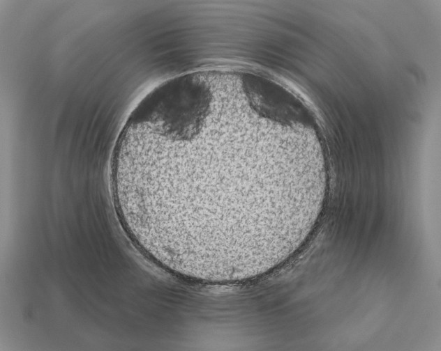 X0000112421283200909251508