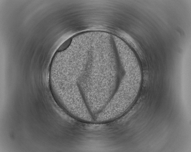 X0000112421284200909251508