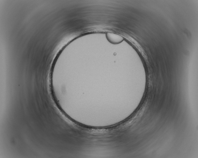 X0000112421285200909251508